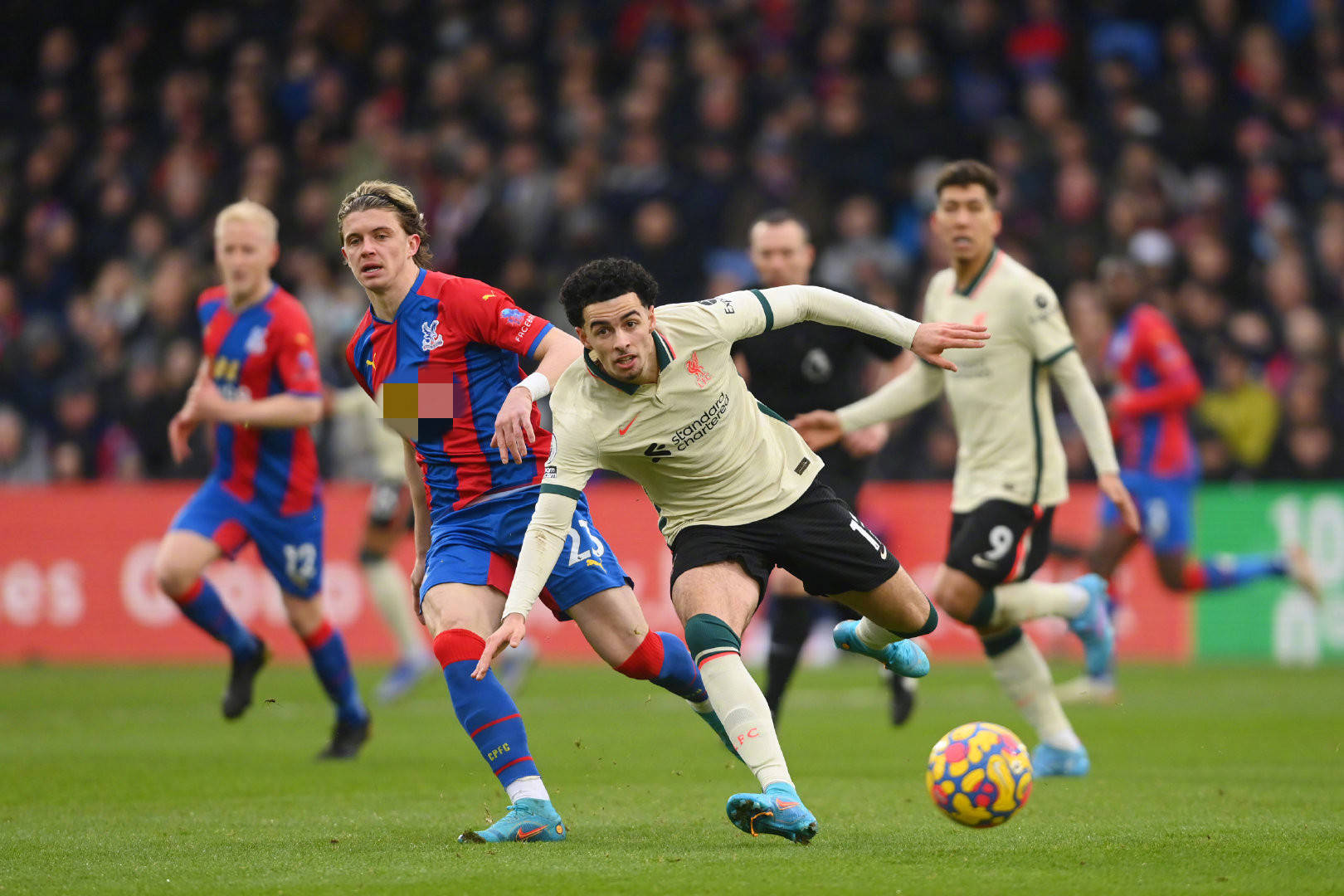 佛羅倫薩投 佛羅倫薩投